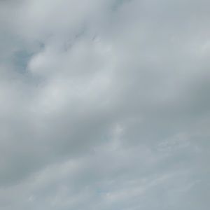 Meet your Posher, Elmara